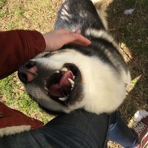 Meet your Posher, Melody